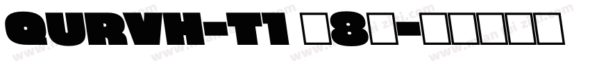 QURVH-T1 (8)字体转换
